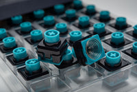 Naevies EC 55g Switches