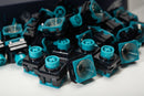 Naevies EC 55g Switches