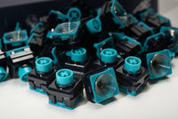 Naevies EC 55g Switches